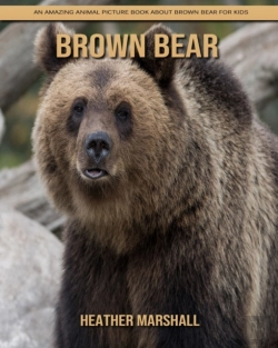 Bertrand.pt - Brown Bear