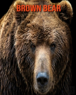Bertrand.pt - Brown Bear