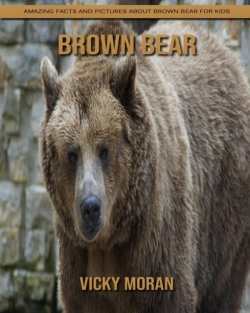 Bertrand.pt - Brown Bear