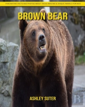 Brown Bear