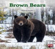 Brown Bears