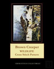 Brown Creeper