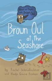 Brown Owl At The Seashore