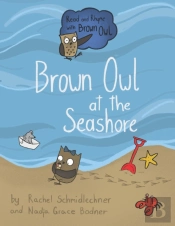 Brown Owl At The Seashore