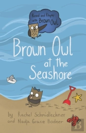 Brown Owl At The Seashore