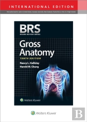 Brs Gross Anatomy