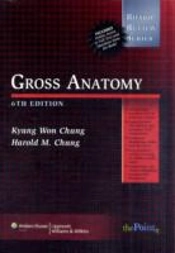Brs Gross Anatomy