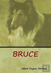 Bruce