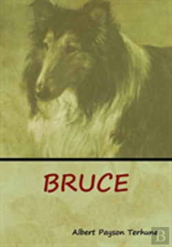 Bertrand.pt - Bruce