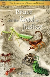 Bruce And The Road To Justice