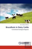 Brucellosis In Dairy Cattle