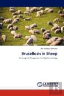 Brucellosis In Sheep