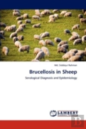Brucellosis In Sheep