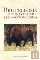 Brucellosis In The Greater Yellowstone Area