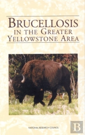 Brucellosis In The Greater Yellowstone Area
