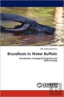 Brucellosis In Water Buffalo