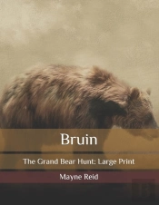 Bruin