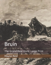 Bruin