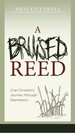 Bertrand.pt - Bruised Reed