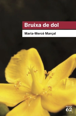 Bertrand.pt - Bruixa De Dol (1977-1979)