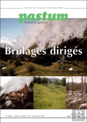 Brulages Diriges