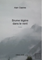 Brume Légère Dans Le Vent