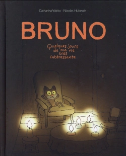 Bertrand.pt - Bruno ; Quelques Jours De Ma Vie Très Intéressante