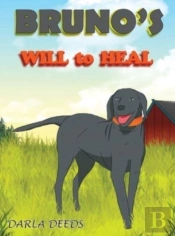 Bruno'S Will To Heal