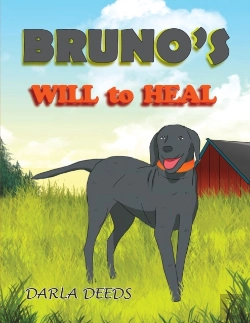 Bertrand.pt - Bruno'S Will To Heal