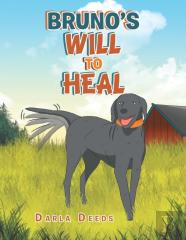 Bruno'S Will To Heal