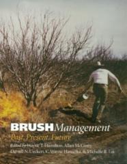 Brush Management
