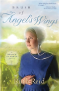 Brush Of Angel'S Wings