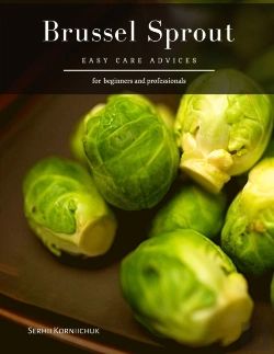 Bertrand.pt - Brussel Sprout