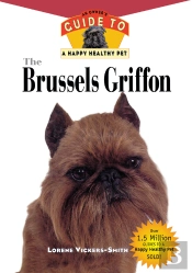Brussels Griffon