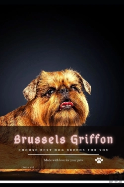 Bertrand.pt - Brussels Griffon