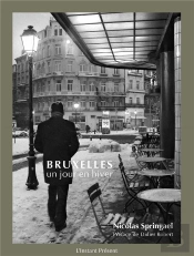Bruxelles, Un Jour En Hiver