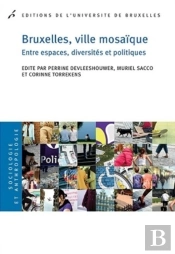 Bruxelles, Ville Mosaïque : Entre Espaces, Diversités Et Politiques