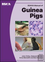 Bsava Manual Of Guinea Pigs