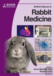 Bsava Manual Of Rabbit Medicine