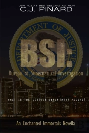 Bsi