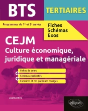 Bts Fiches, Schémas Et Exos : Bts Tertiaires ; Cejm, Culture Économique, Juridique Et Managériale