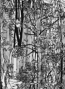 Bertrand.pt - Bucherwald