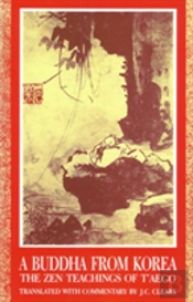 Buddha From Korea