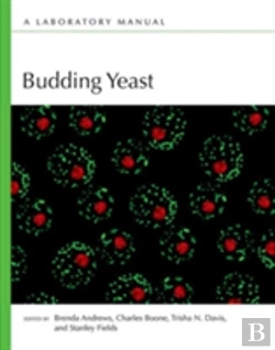 Bertrand.pt - Budding Yeast