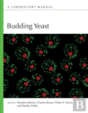 Budding Yeast