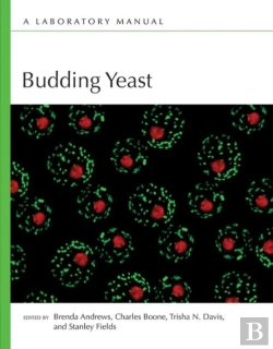 Bertrand.pt - Budding Yeast