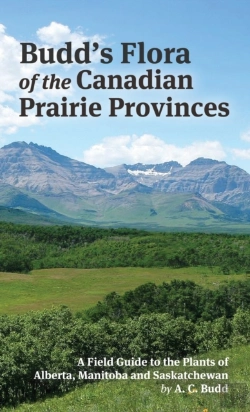 Bertrand.pt - Budd'S Flora Of The Canadian Prairie Provinces