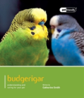 Budgeriegars - Pet Friendly