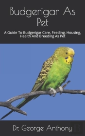 Budgerigar As Pet