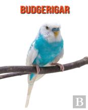 Budgerigar